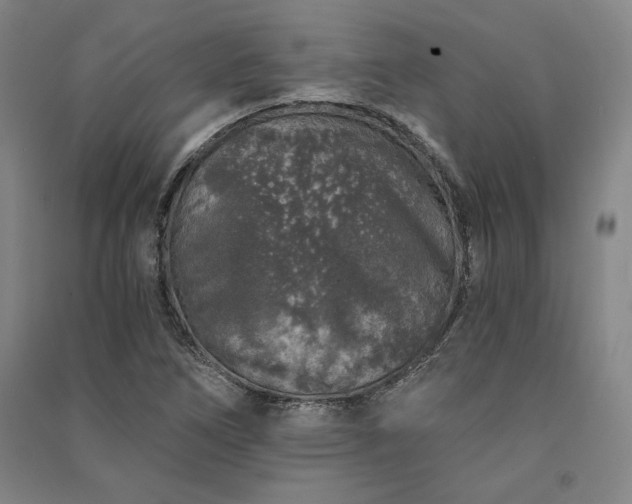 X0000091341266200708171404