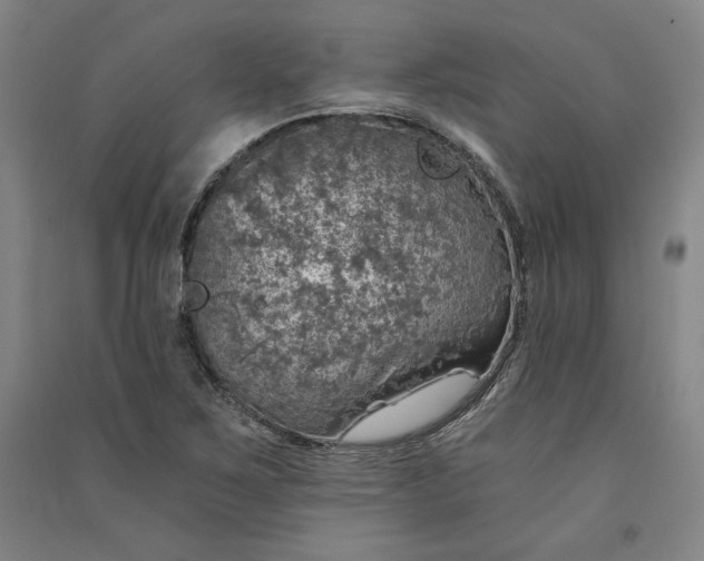 X0000091341267200708171404