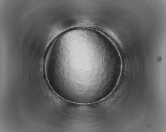 X0000091341268200708171404