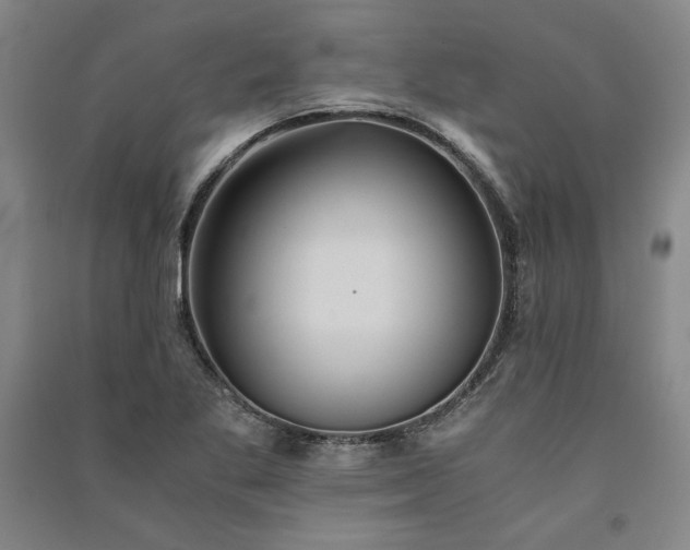 X0000091341269200708171404