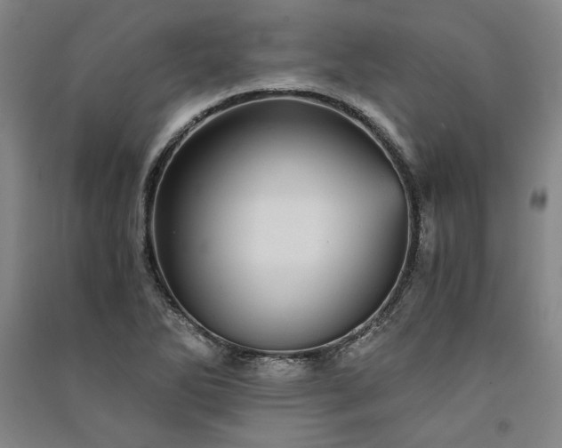 X0000091341270200708171404