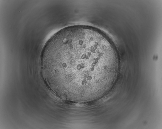 X0000091341271200708171404