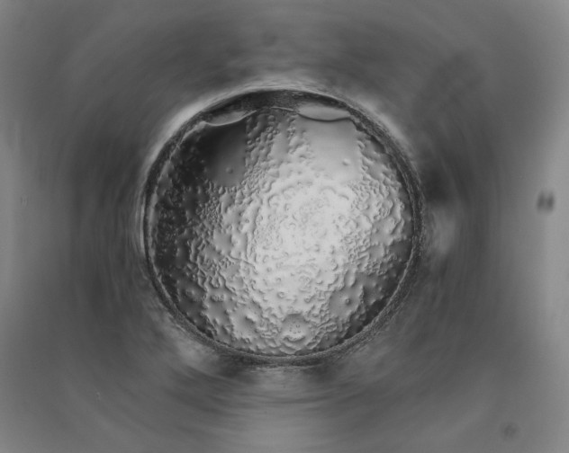 X0000091341272200708171404