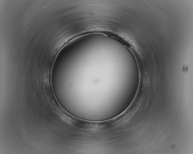 X0000091341273200708171404