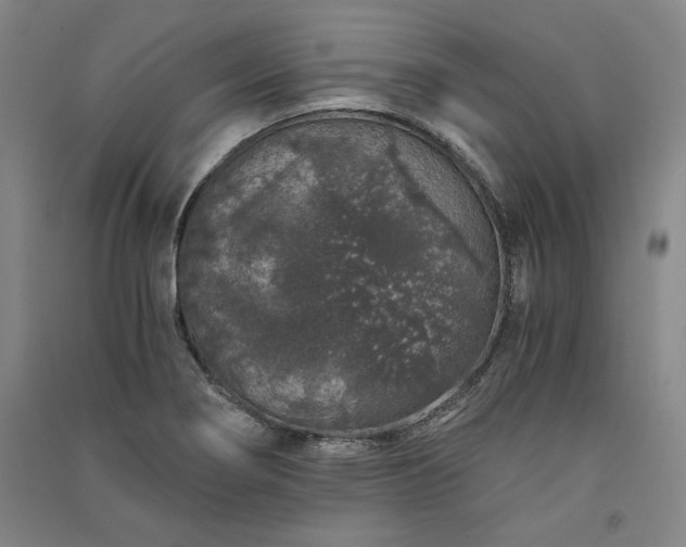 X0000091341274200708171404