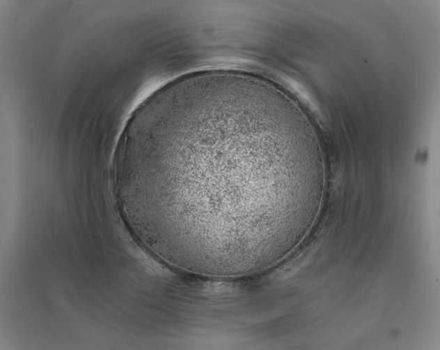 X0000091341275200708171404