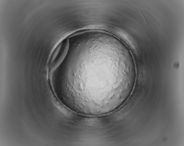 X0000091341276200708171404