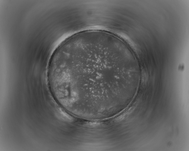 X0000091341278200708171403