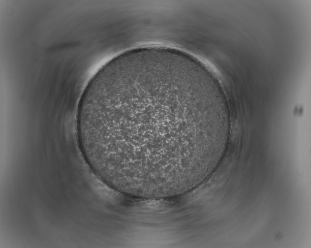 X0000091341279200708171403