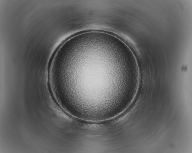 X0000091341280200708171403