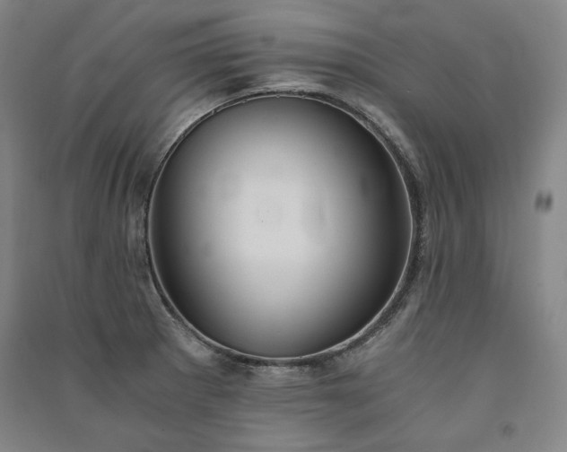 X0000091341281200708171403