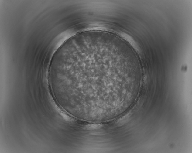 X0000091341282200708171403