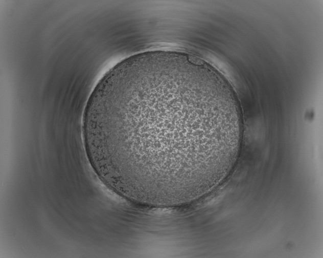 X0000091341283200708171403