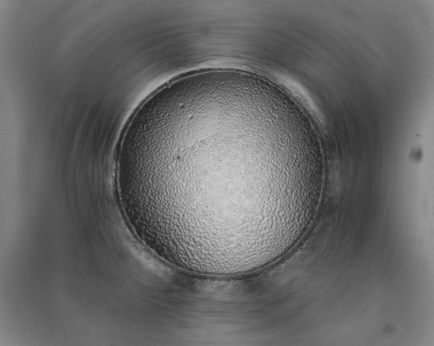 X0000091341284200708171403