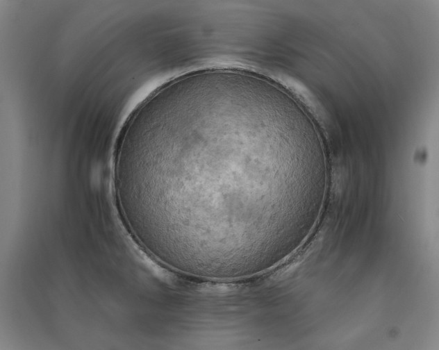 X0000091341286200708171403