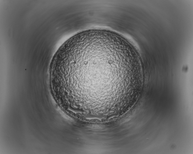 X0000091341287200708171403