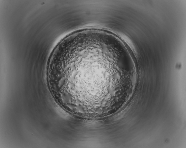 X0000091341288200708171403