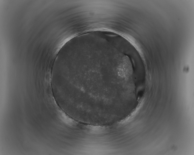 X0000091341289200708171403