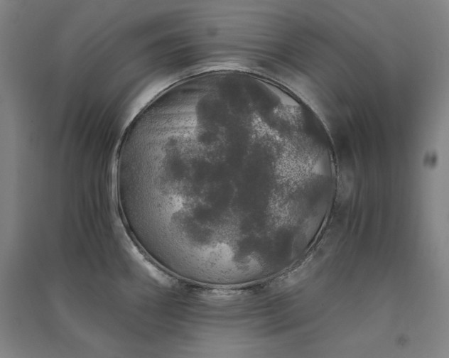 X0000091341290200708171403