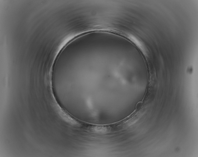 X0000091341291200708171403