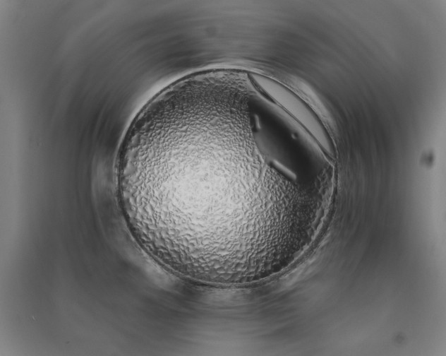 X0000091341292200708171403