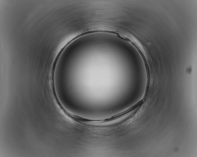 X0000091341293200708171403