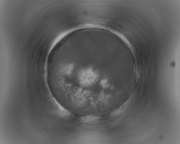 X0000091341294200708171403