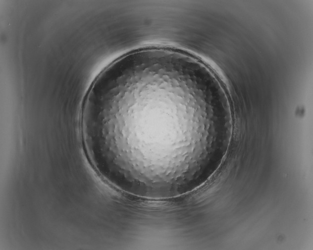 X0000091341295200708171403