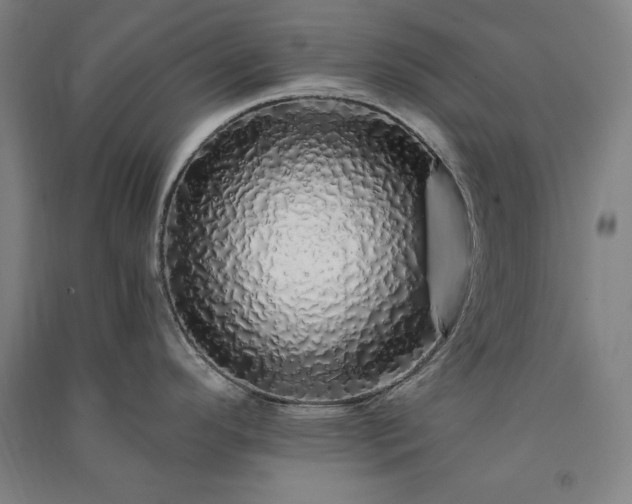 X0000091341296200708171403