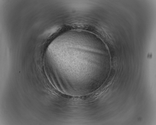 X0000091341297200708171403