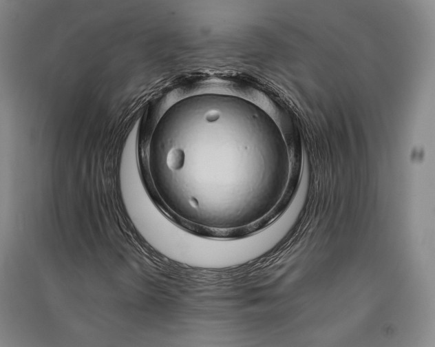 X0000091341298200708171403