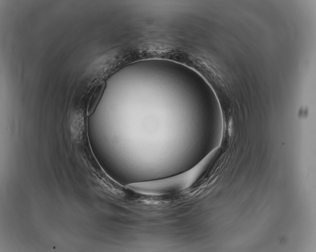 X0000091341299200708171403