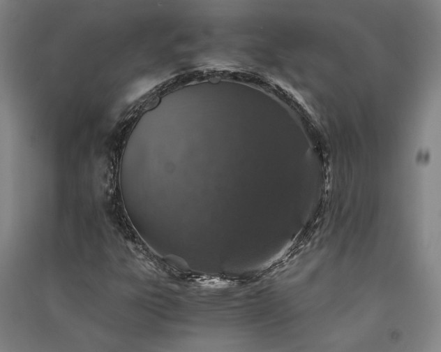 X0000091341303200708171403