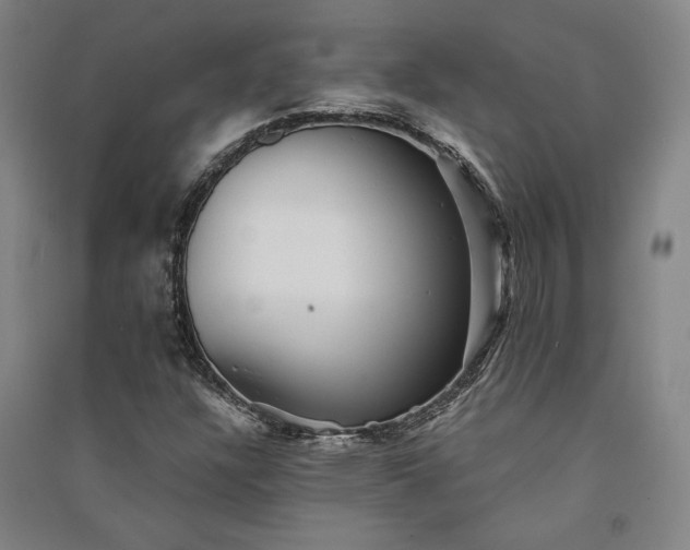 X0000091341304200708171403