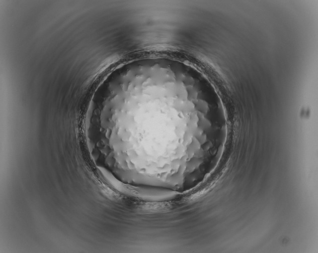 X0000091341305200708171403