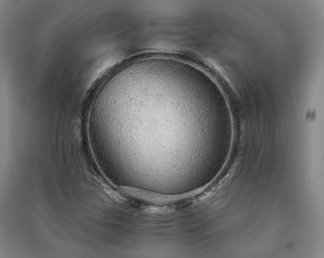 X0000091341307200708171403