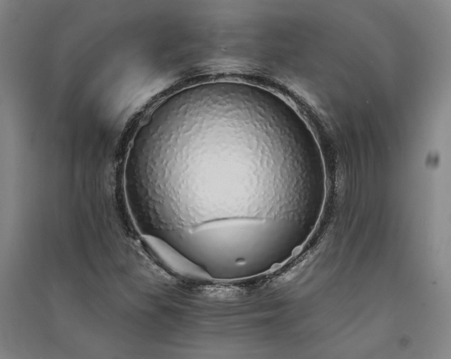 X0000091341309200708171403