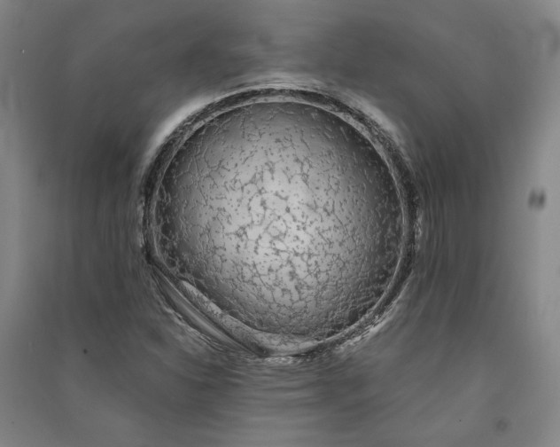 X0000091341310200708171403