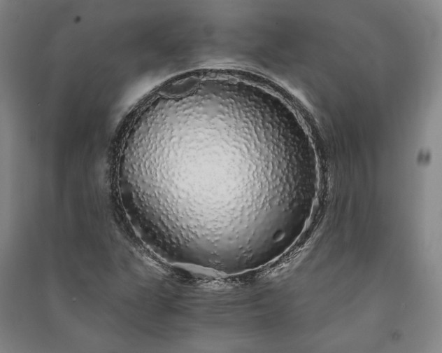 X0000091341311200708171403