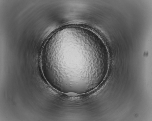 X0000091341313200708171403