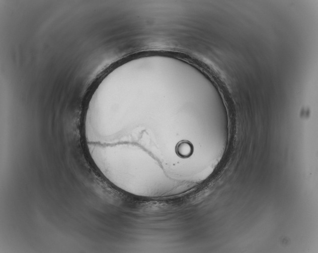 X0000091341314200708171403