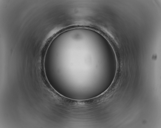 X0000091341315200708171403