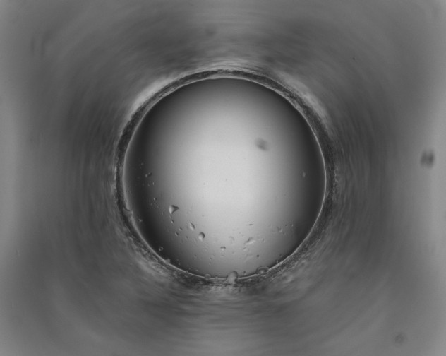 X0000091341316200708171403