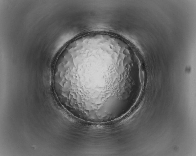 X0000091341317200708171403