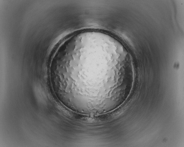 X0000091341318200708171403