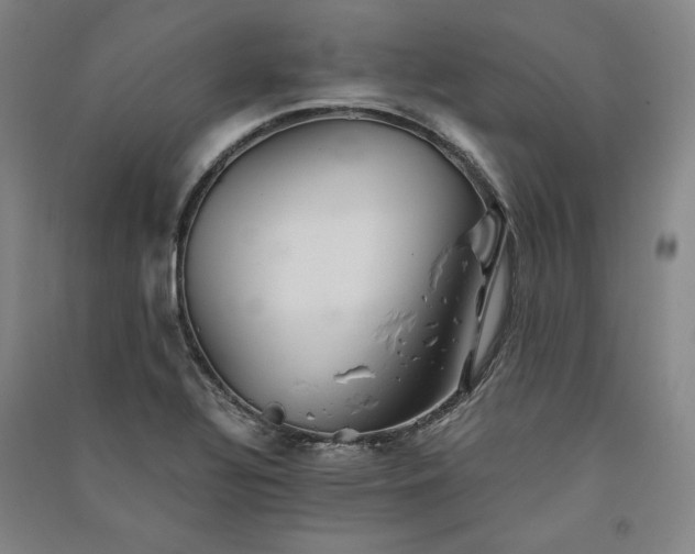 X0000091341320200708171403