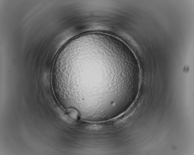 X0000091341321200708171403