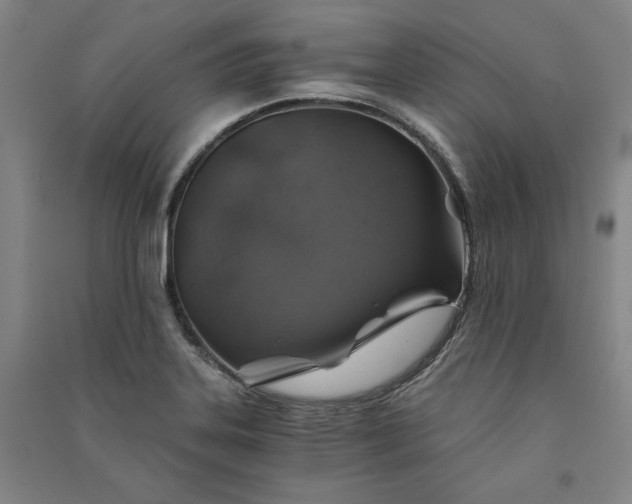 X0000091341323200708171403