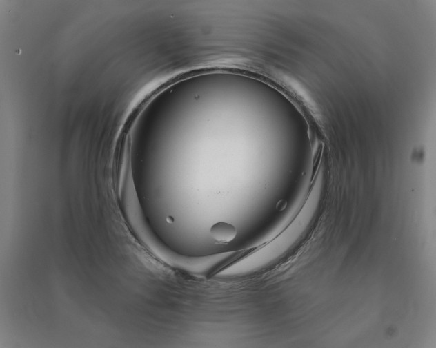 X0000091341324200708171403