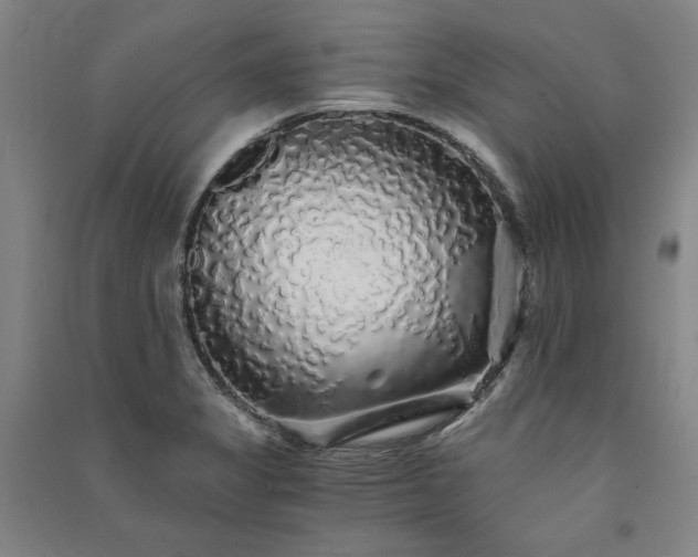 X0000091341325200708171403